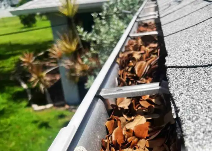 Brooksville gutter cleaning home page